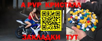 стафф Ставрополь