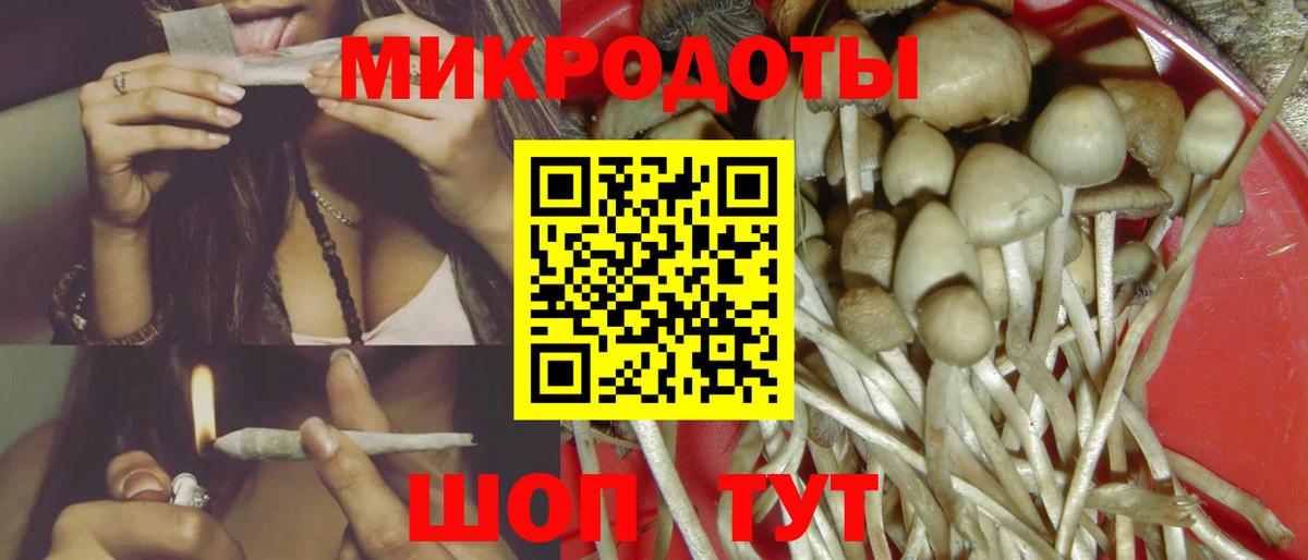 Мурино  Галлюциногенные грибы Psilocybine cubensis  Вход с VPN  Псилоцибиновые грибы GOLDEN TEACHER 
