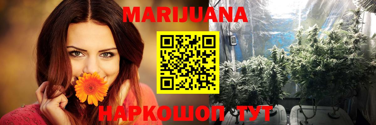 МАРИХУАНА OG Kush Мурино